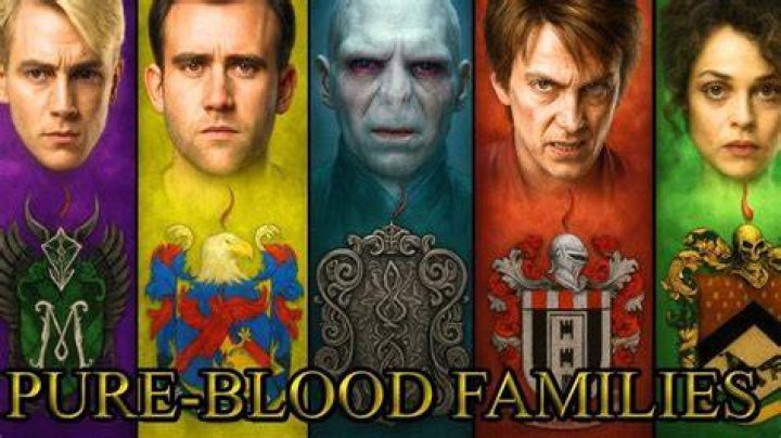 Are all the pureblood families related?