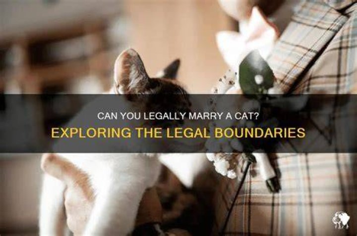 Can I legally marry my cat?