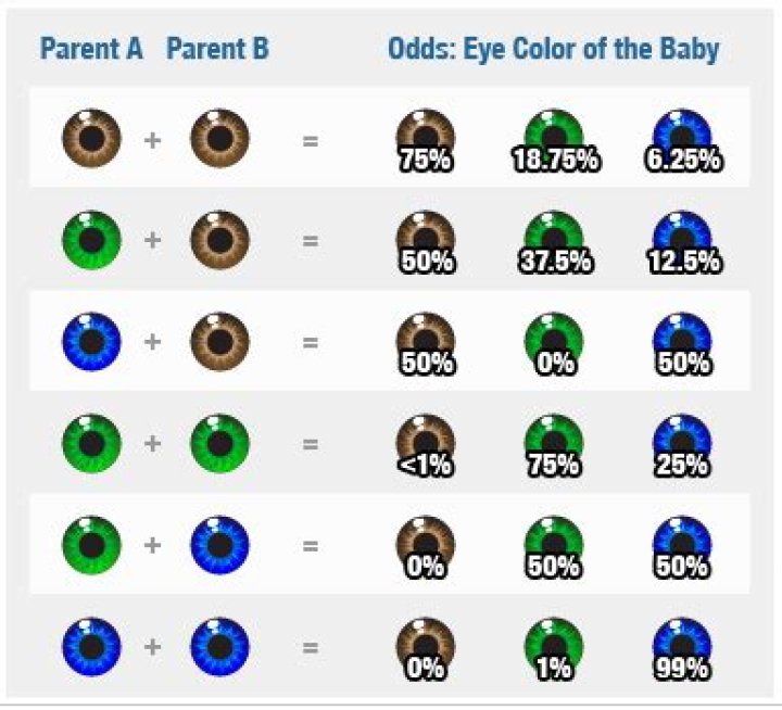 Can two blue-eyed make a green eyed baby?