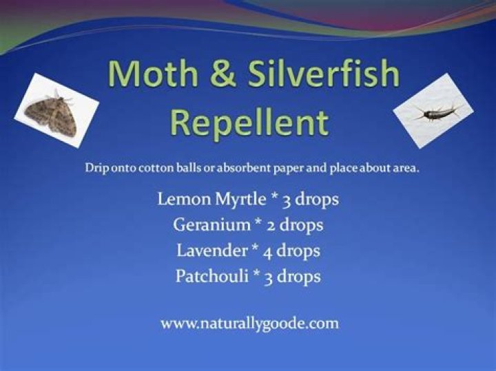 Do moth balls repel silverfish?