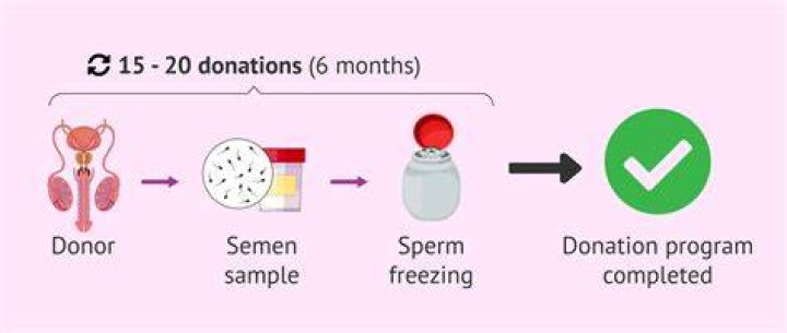Do you see photos of sperm donors?