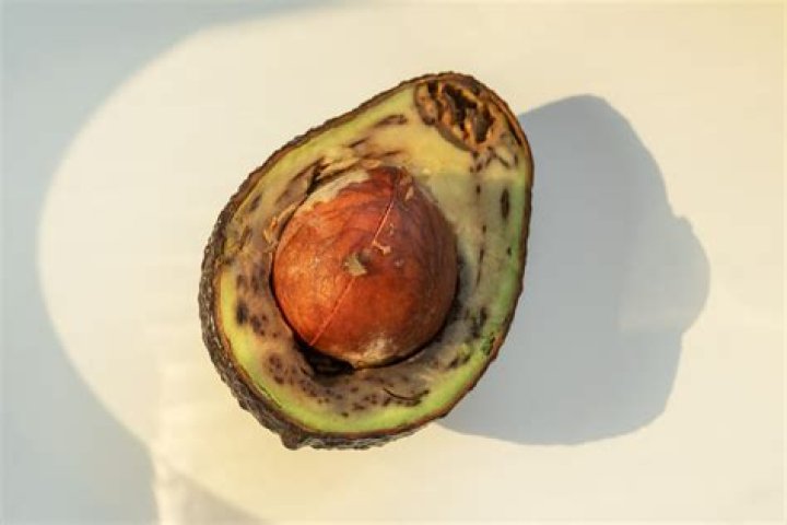 How do you tell if your avocado tree is A or B?