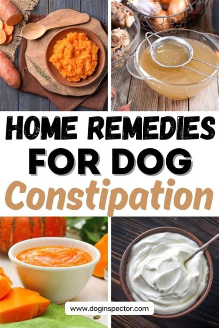 How much sweet potato do I give my dog for constipation?
