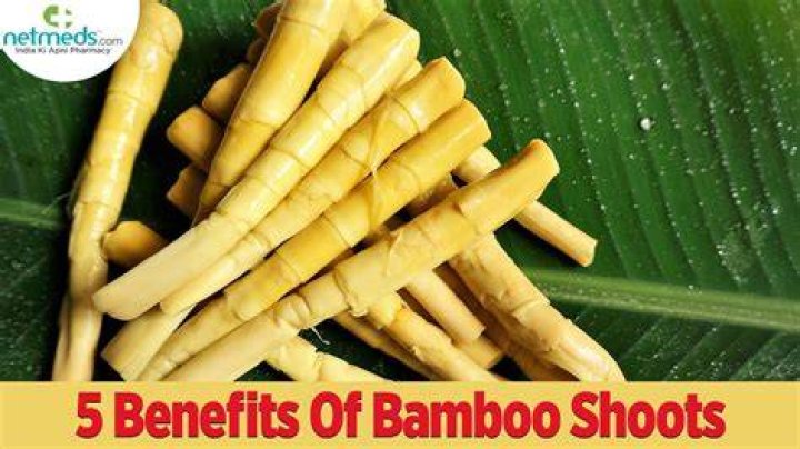 Is eating bamboo good for you?
