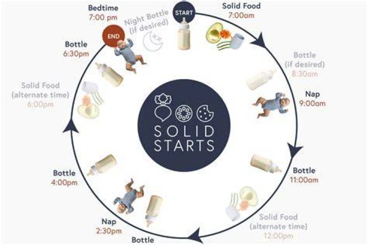 Is it better to start solids at 4 months or 6 months?