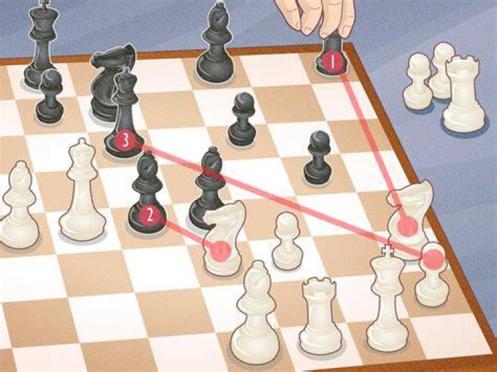 Is it OK to play chase with your cat?
