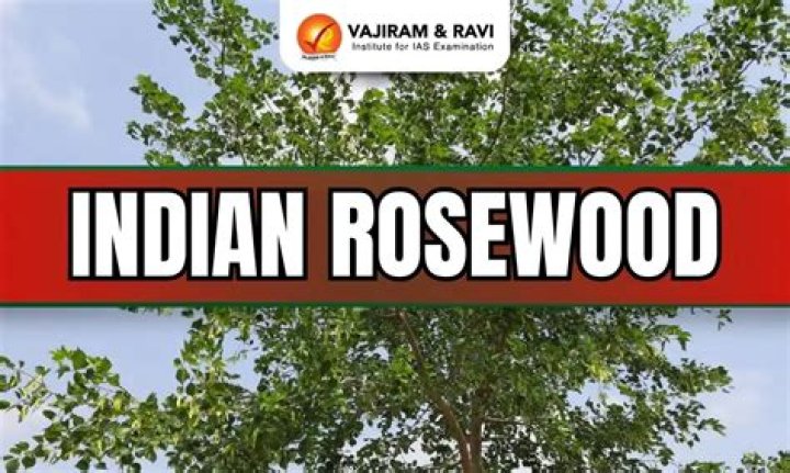 Is rosewood illegal to own?