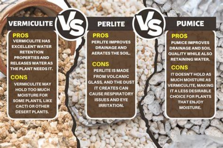 Should you add vermiculite to potting soil?
