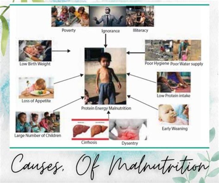 What are the 5 negative effects of malnutrition among adolescent?