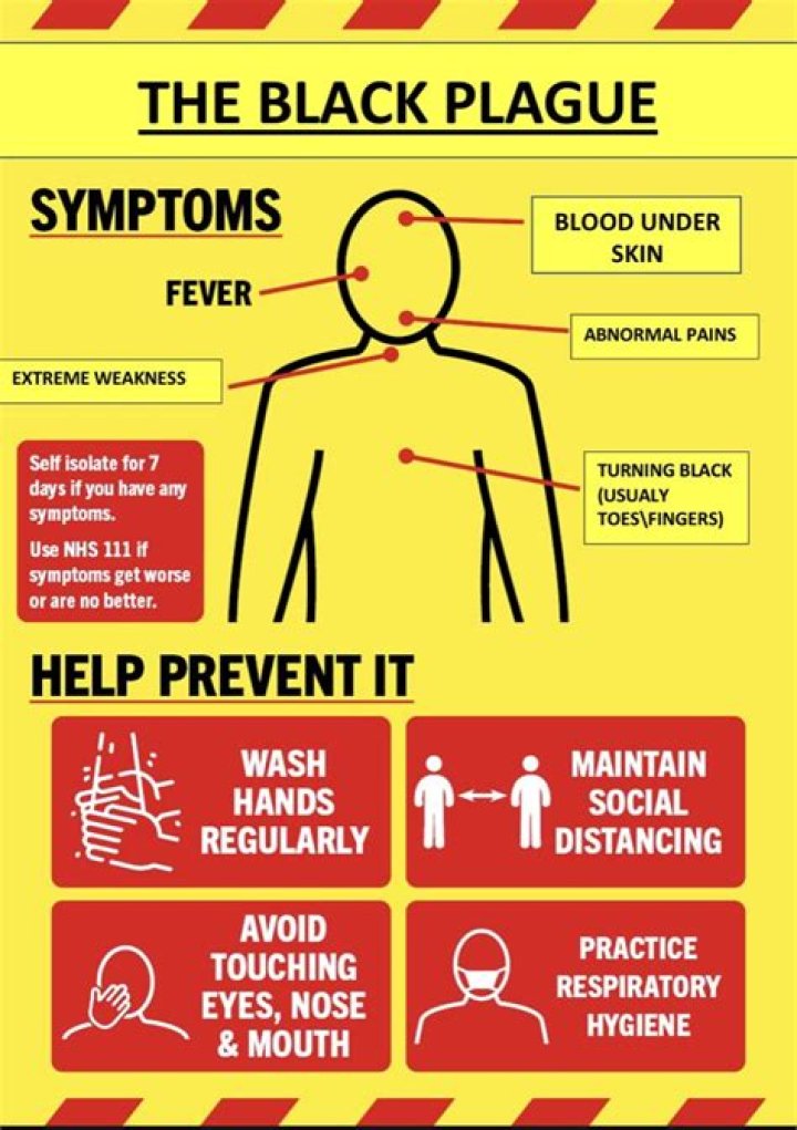 What are the 5 symptoms of the Black Death in order?
