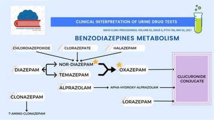 What can show up as benzodiazepine in a urine test?