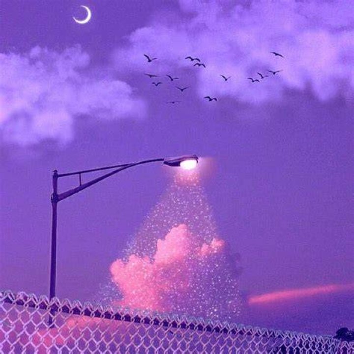 What does lovely picture mean?