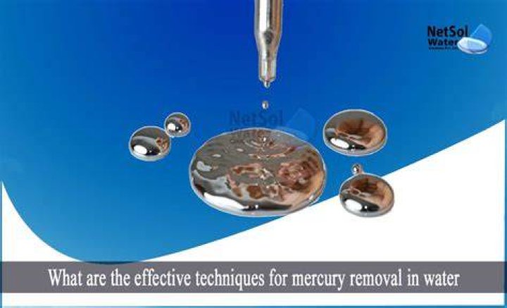 What gets rid of mercury?