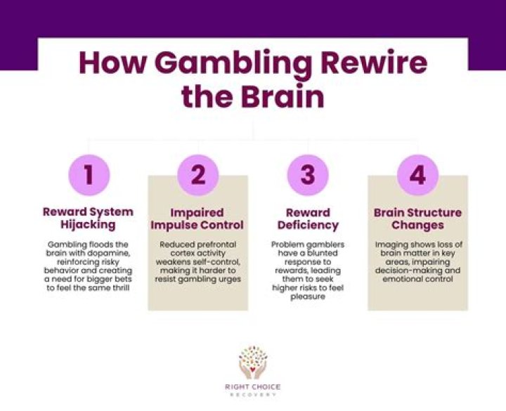 What happens to the brain when gambling?
