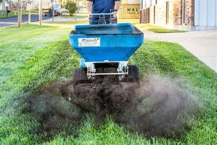 What is the best top dressing for lawns?