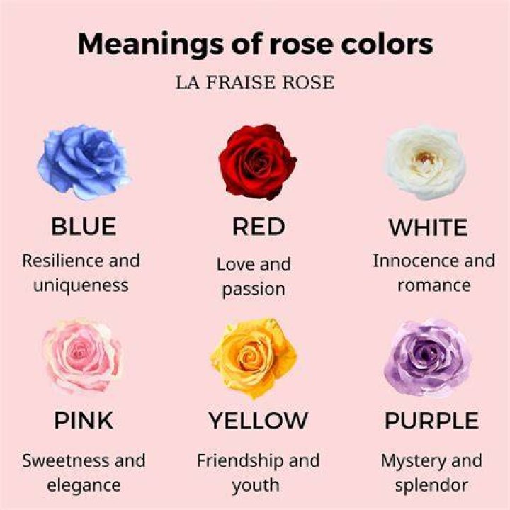 What is the meaning of 4 roses?