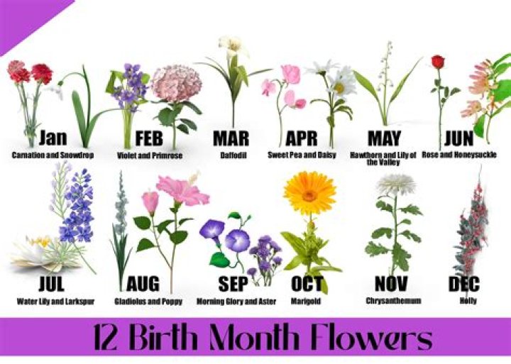 What is the significance of February 22 2022?
