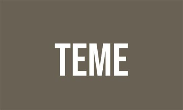 What teme means?