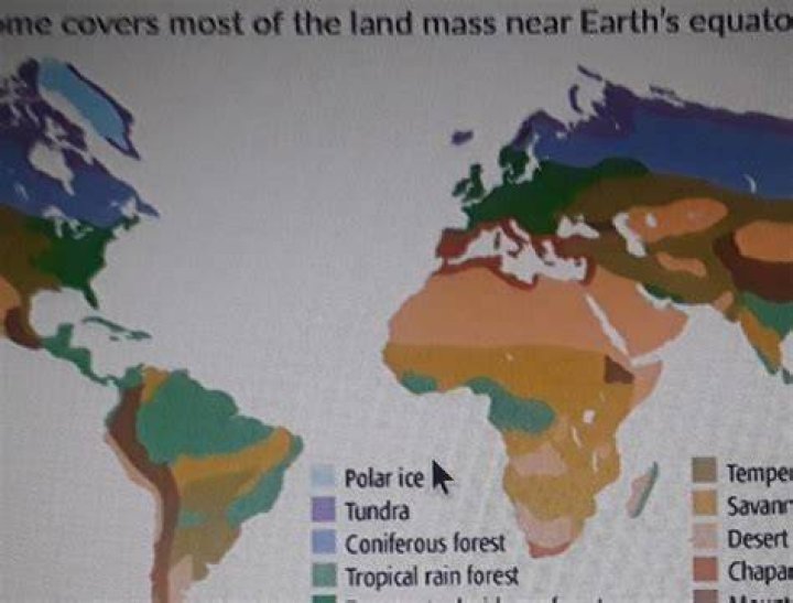 Which biome covers most of the land mass near the Earth's equator?