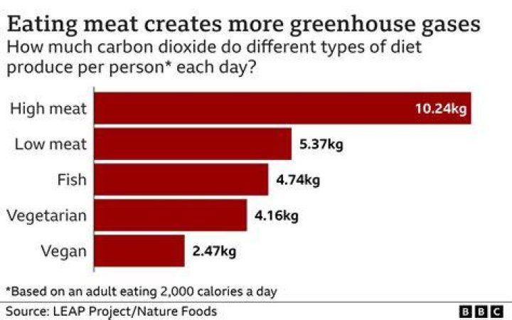 Why do meat eaters get so defensive?