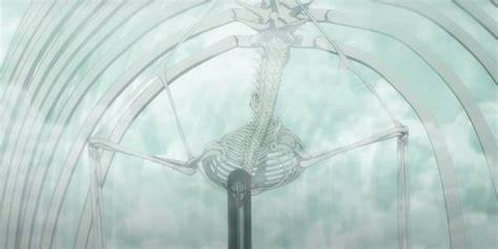 Why does Eren's founding Titan look like a skeleton?