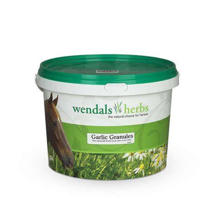 Why is garlic good for horses?
